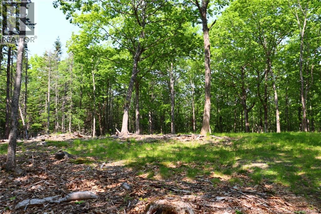 Hills Point Road, St. Stephen, New Brunswick  E3L 4K5 - Photo 6 - NB129420