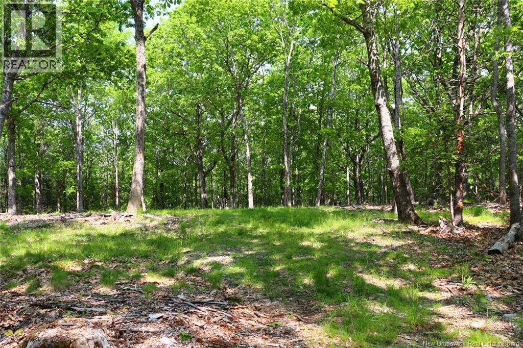 Hills Point Road, St. Stephen, New Brunswick  E3L 4K5 - Photo 7 - NB129420