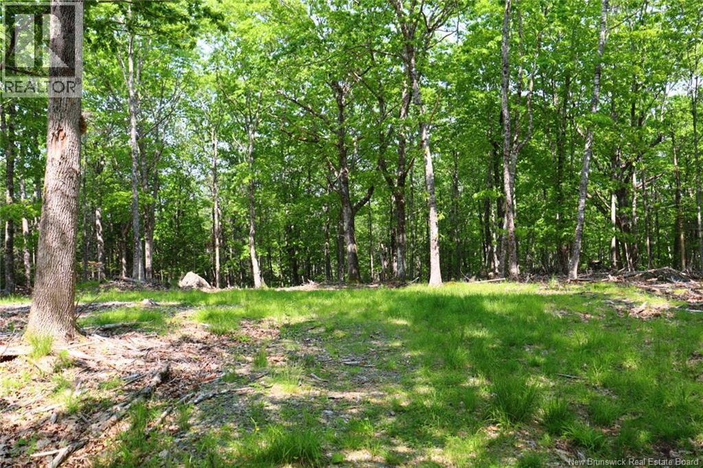 Hills Point Road, St. Stephen, New Brunswick  E3L 4K5 - Photo 8 - NB129420