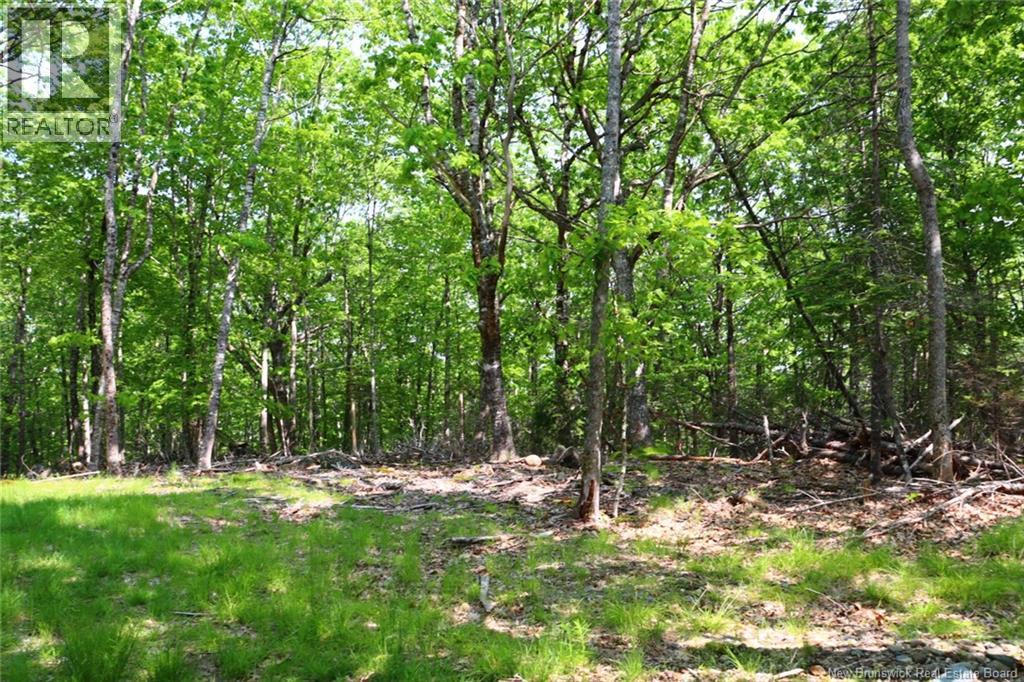 Hills Point Road, St. Stephen, New Brunswick  E3L 4K5 - Photo 9 - NB129420