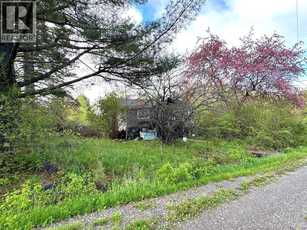 196 Ledge Road, Dufferin, New Brunswick E3L 3P2 - Photo 12 - NB129455