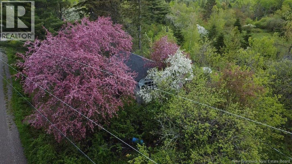 196 Ledge Road, Dufferin, New Brunswick E3L 3P2 - Photo 3 - NB129455