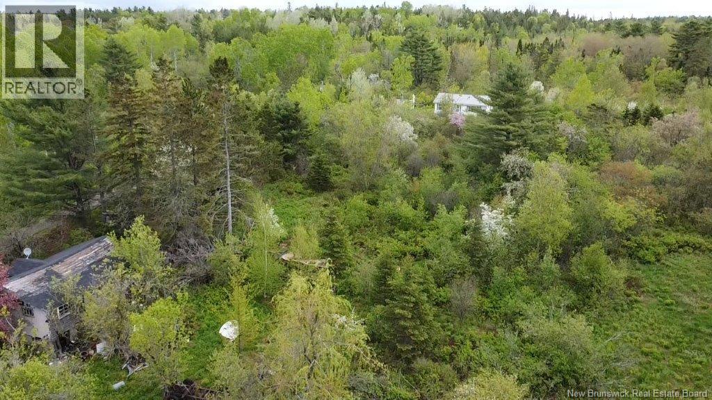 196 Ledge Road, Dufferin, New Brunswick E3L 3P2 - Photo 7 - NB129455