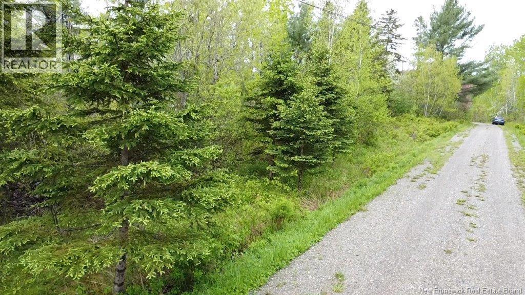 196 Ledge Road, Dufferin, New Brunswick E3L 3P2 - Photo 9 - NB129455