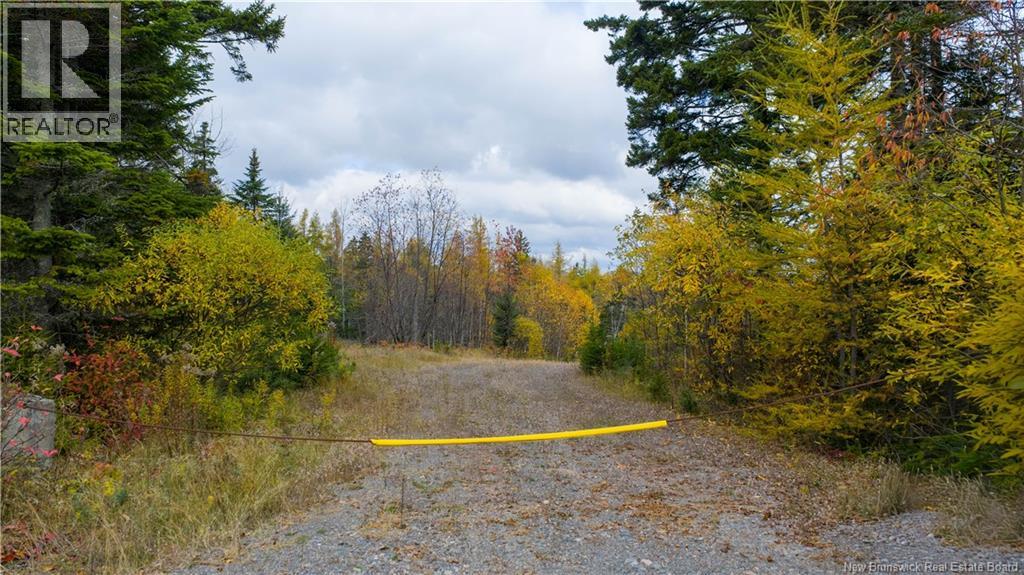 Route 172, St George, New Brunswick  E5C 3C6 - Photo 11 - NB129264