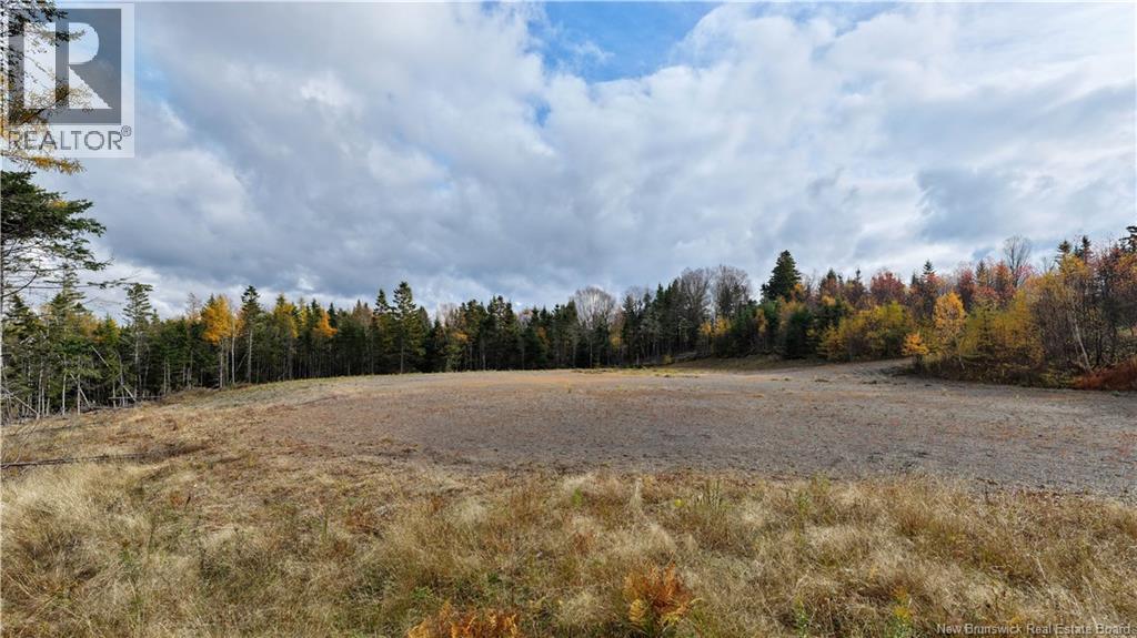 Route 172, St George, New Brunswick  E5C 3C6 - Photo 14 - NB129264