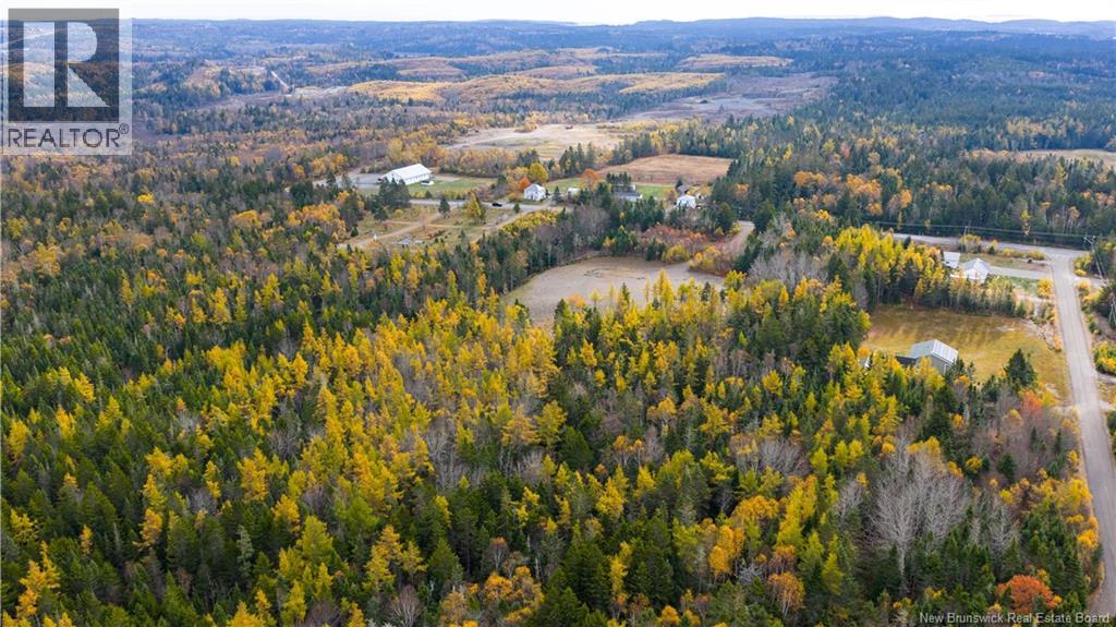 Route 172, St George, New Brunswick  E5C 3C6 - Photo 7 - NB129264