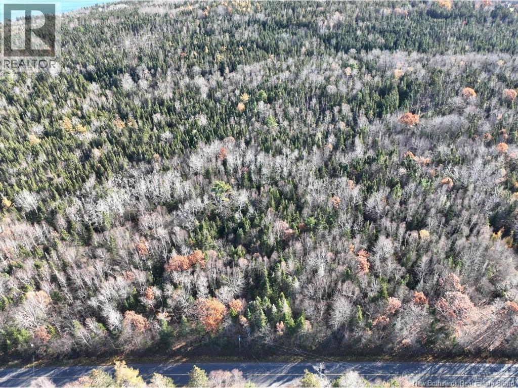 0 Oak Haven Road, Dufferin, New Brunswick E3L 3S5 - Photo 4 - NB129431