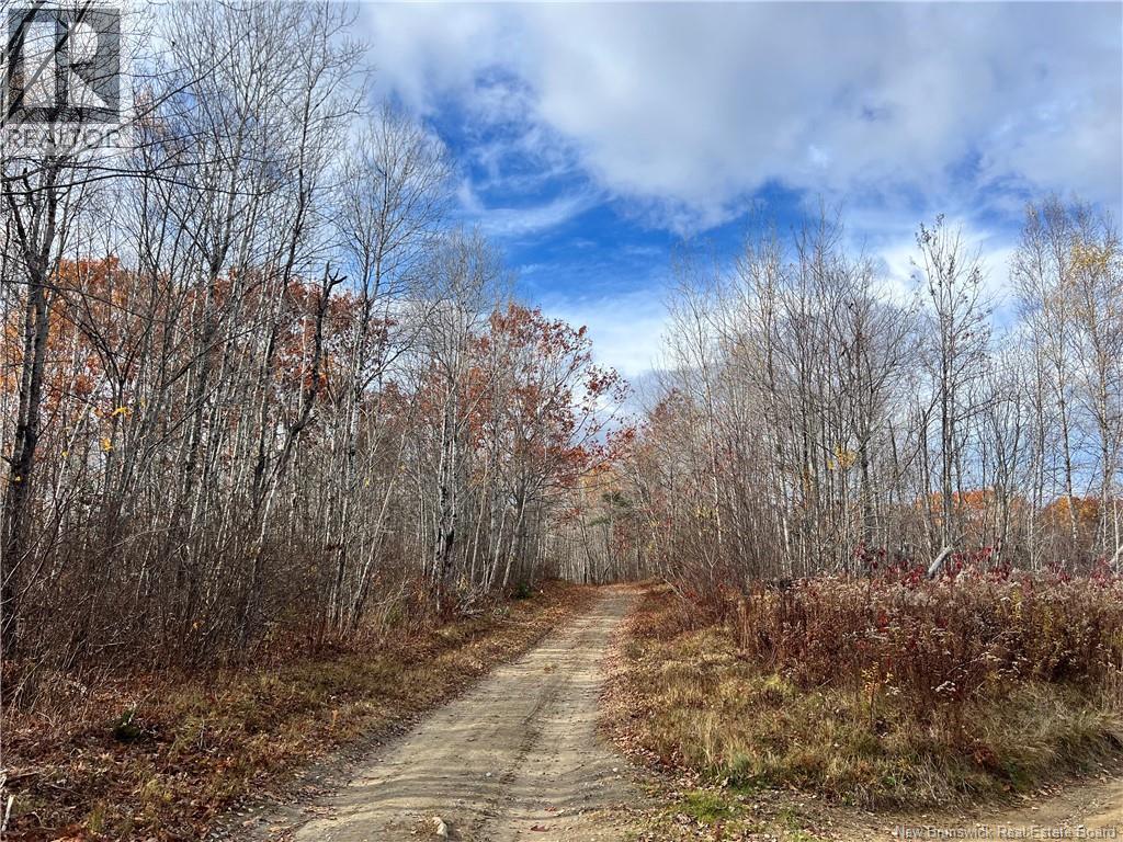 02 Hall Road, Upper Mills, New Brunswick