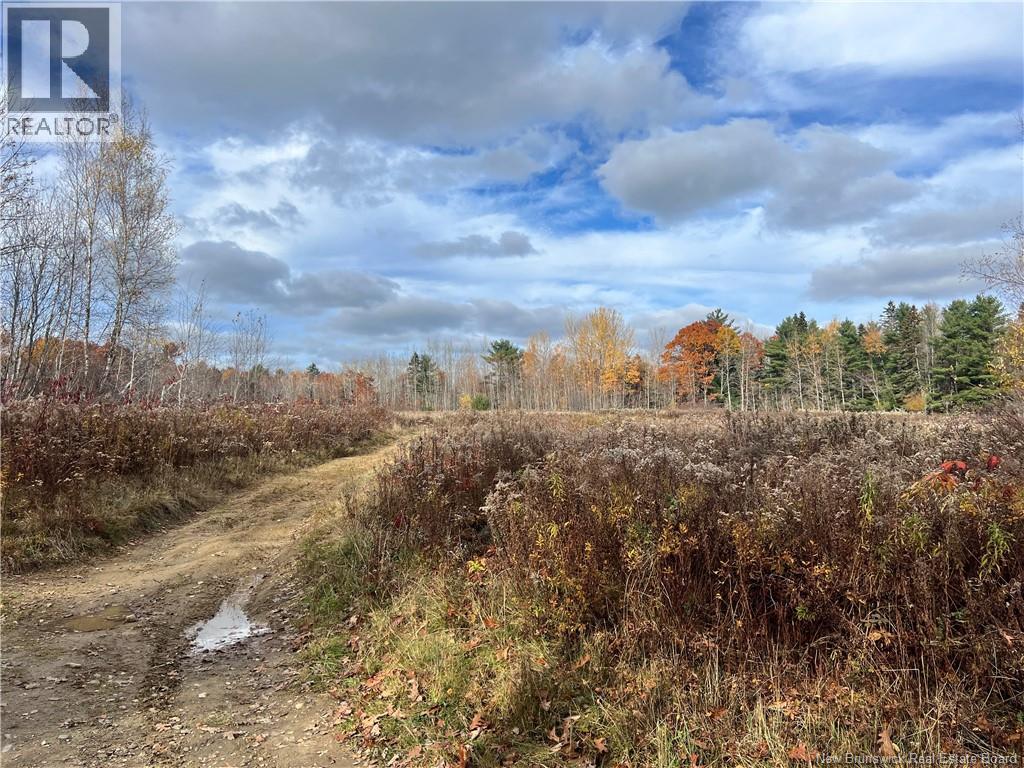 02 Hall Road, Upper Mills, New Brunswick E3L 5W8 - Photo 3 - NB129555