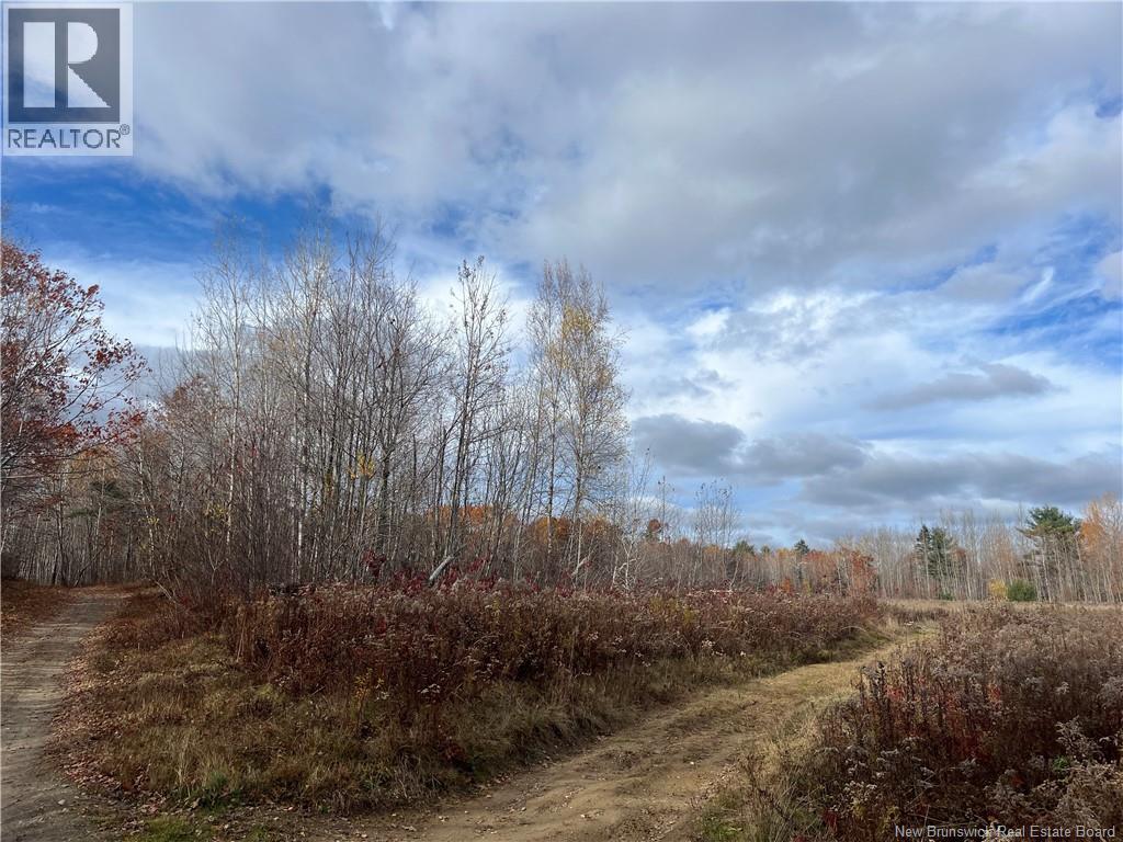 02 Hall Road, Upper Mills, New Brunswick E3L 5W8 - Photo 4 - NB129555