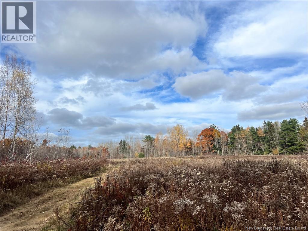 02 Hall Road, Upper Mills, New Brunswick E3L 5W8 - Photo 5 - NB129555