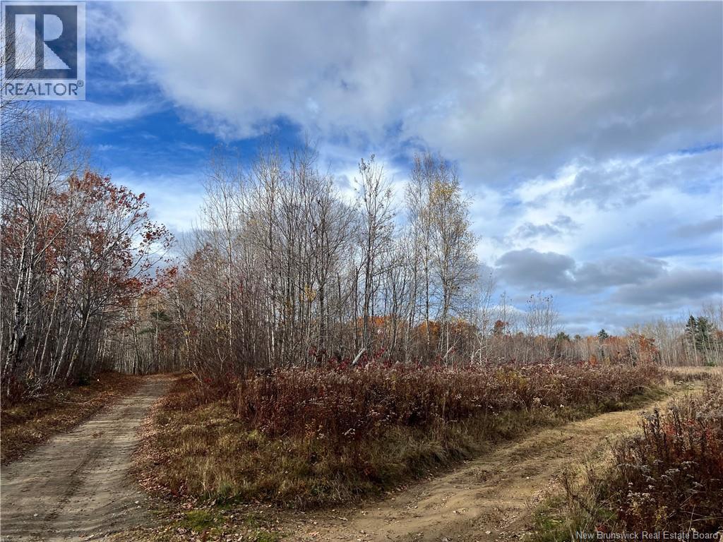 02 Hall Road, Upper Mills, New Brunswick E3L 5W8 - Photo 6 - NB129555