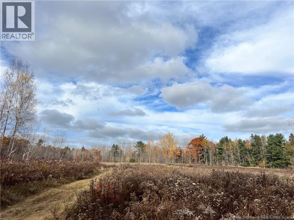 02 Hall Road, Upper Mills, New Brunswick E3L 5W8 - Photo 7 - NB129555