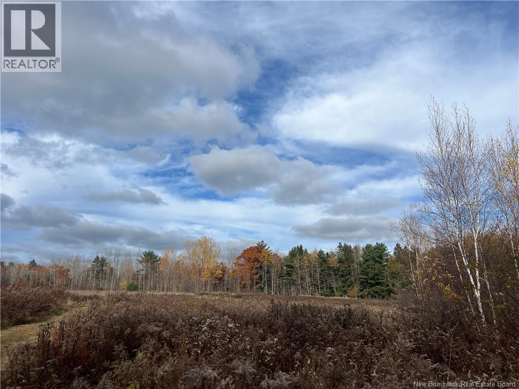 02 Hall Road, Upper Mills, New Brunswick E3L 5W8 - Photo 8 - NB129555