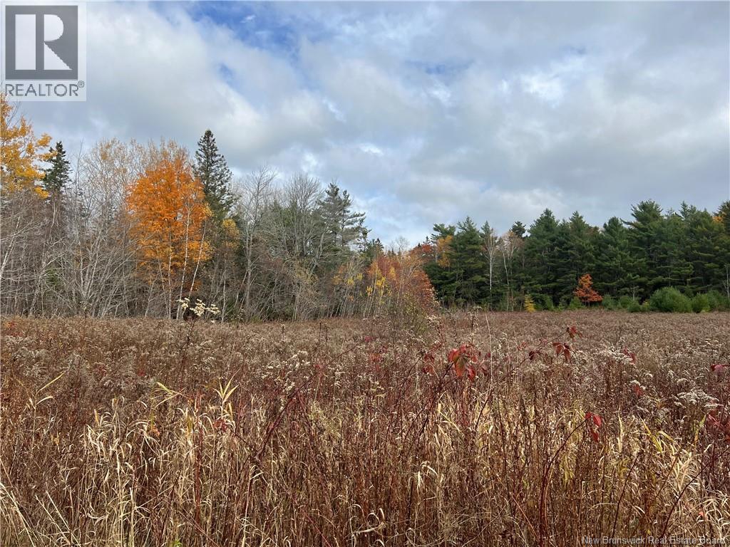 01 Hall Road, Mohannes, New Brunswick