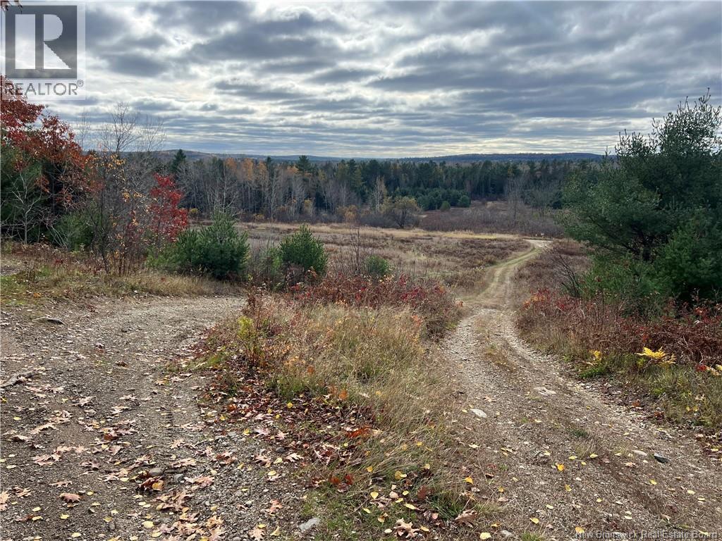 01 Hall Road, Mohannes, New Brunswick  E3L 5V8 - Photo 11 - NB129571
