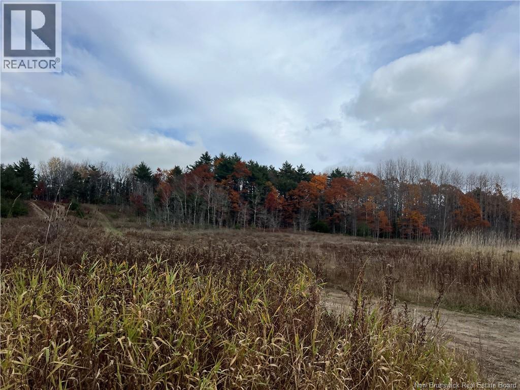 01 Hall Road, Mohannes, New Brunswick  E3L 5V8 - Photo 4 - NB129571