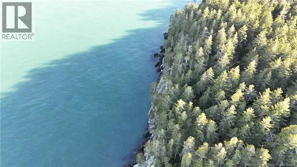 Lot Route 772, Hibernia Cove, New Brunswick  E5V 1L7 - Photo 12 - NB129563