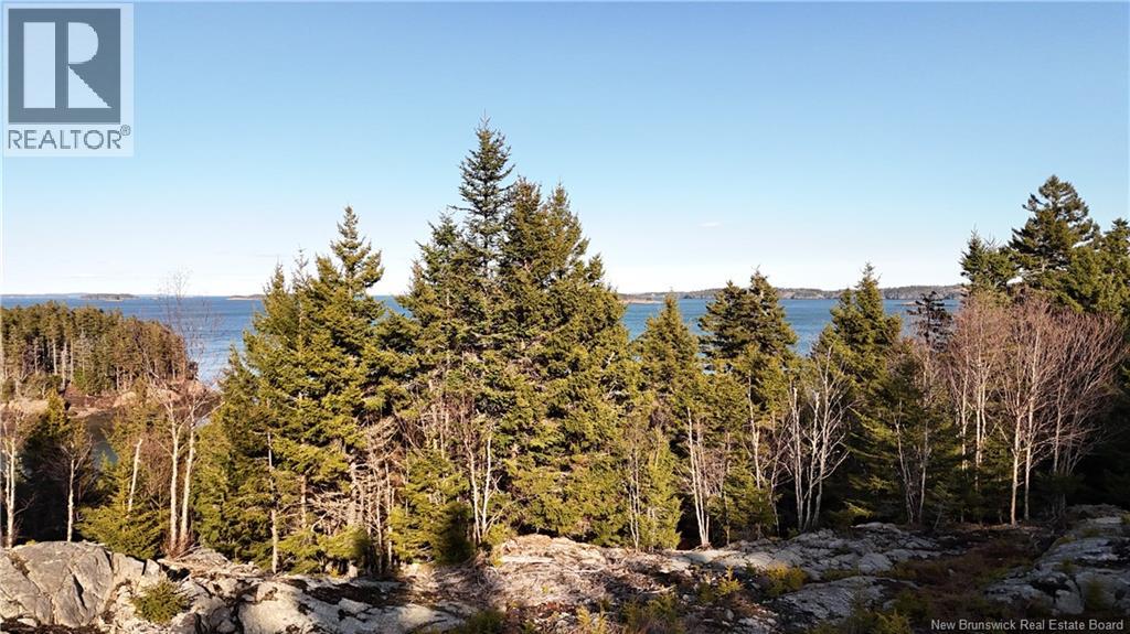 Lot Route 772, Hibernia Cove, New Brunswick  E5V 1L7 - Photo 2 - NB129563