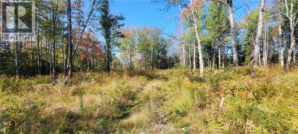 Lot Meadow Brook Road, Wirral, New Brunswick E5L 2T8 - Photo 3 - NB129419