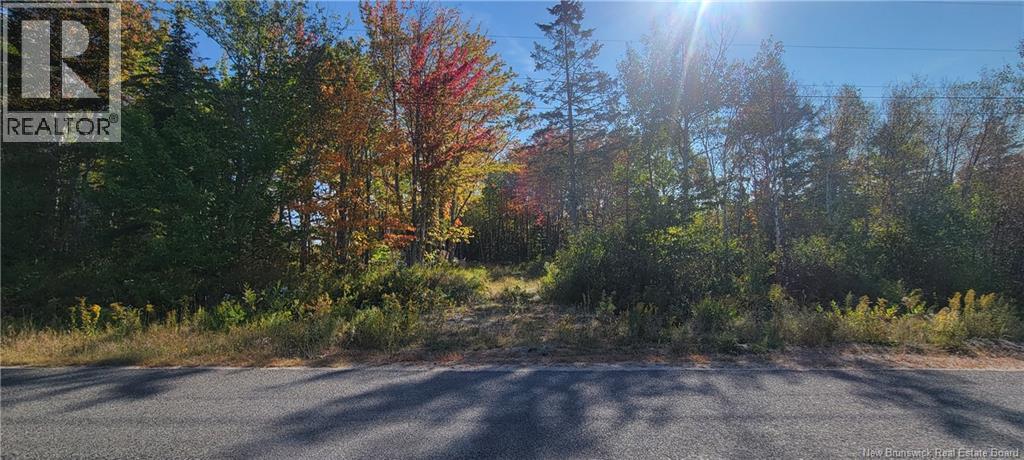 Lot Meadow Brook Road, Wirral, New Brunswick E5L 2T8 - Photo 5 - NB129419