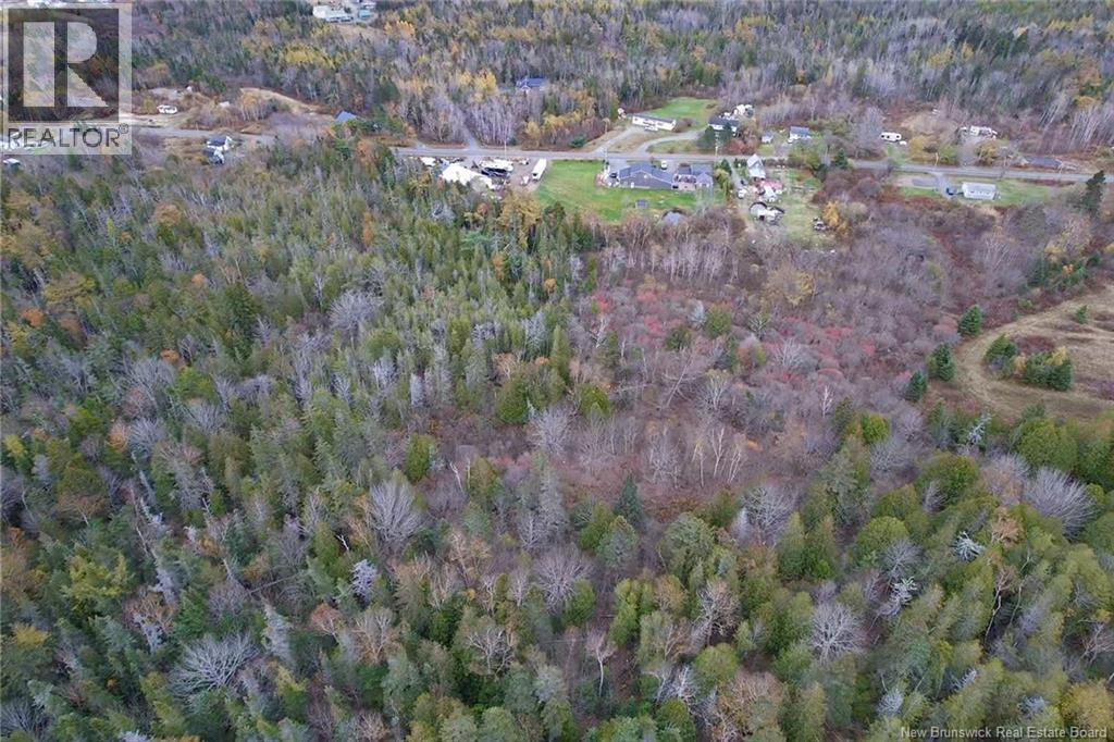 90 Cedar Street, Grand Manan, New Brunswick  E5G 2C2 - Photo 11 - NB129812