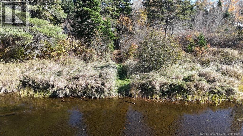 92-5 Loon Bay Road, Saint James, New Brunswick  E5A 1H8 - Photo 18 - NB129562