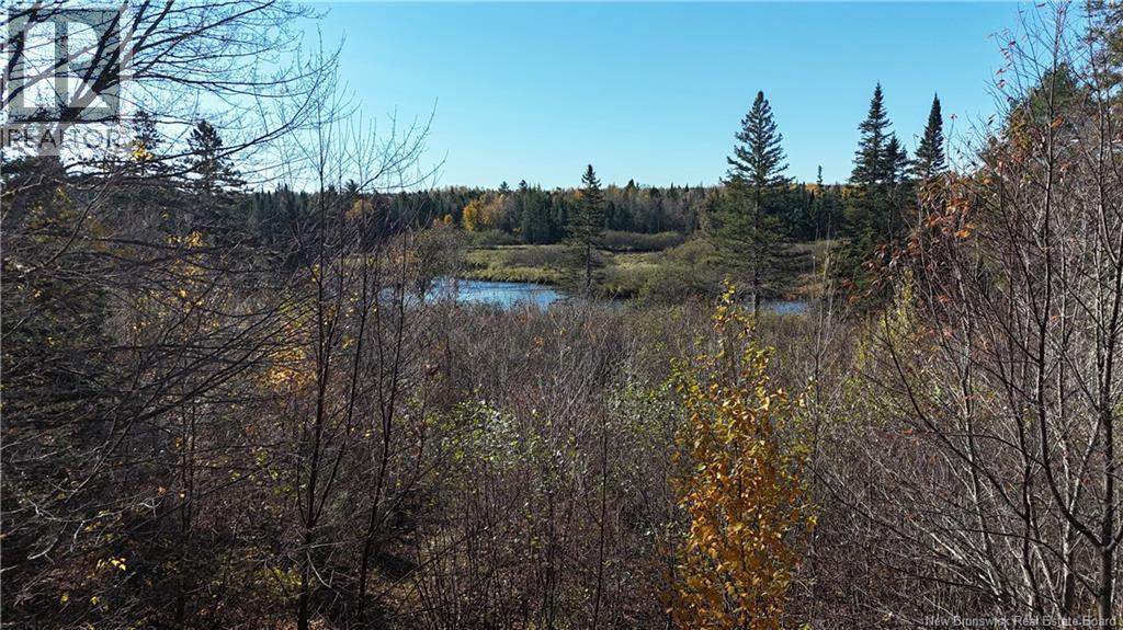 92-5 Loon Bay Road, Saint James, New Brunswick  E5A 1H8 - Photo 19 - NB129562