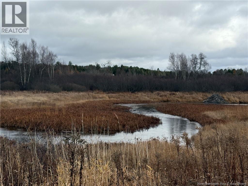 177 Manor Rd, St George, New Brunswick E5C 1M1 - Photo 4 - NB129985