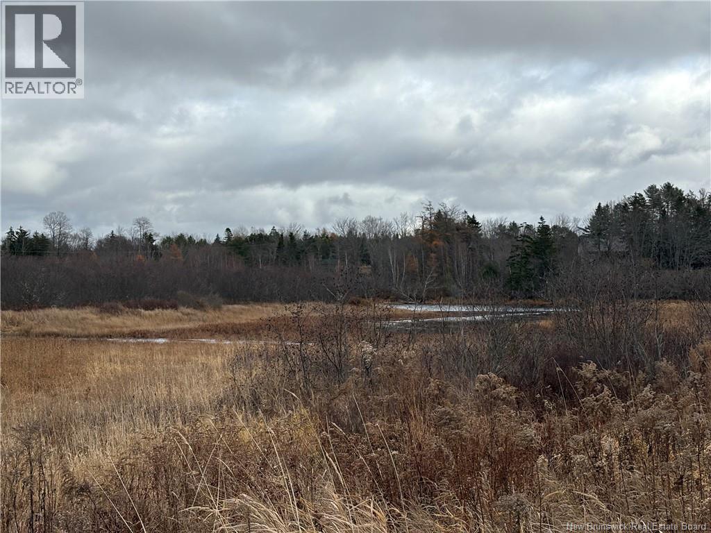 177 Manor Rd, St George, New Brunswick E5C 1M1 - Photo 5 - NB129985