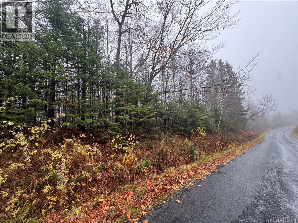 25-02 St. David Ridge Road, Oak Bay, New Brunswick E3L 4R1 - Photo 3 - NB130061