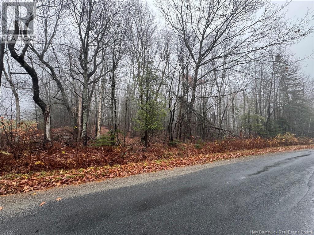 25-02 St. David Ridge Road, Oak Bay, New Brunswick E3L 4R1 - Photo 7 - NB130061