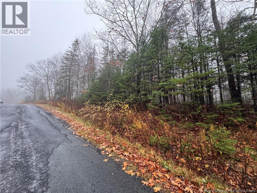 25-01 St. David Ridge Road, Oak Bay, New Brunswick E3L 4R1 - Photo 2 - NB130055