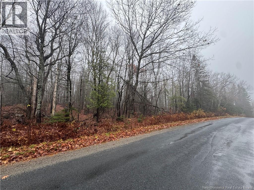 25-01 St. David Ridge Road, Oak Bay, New Brunswick E3L 4R1 - Photo 8 - NB130055