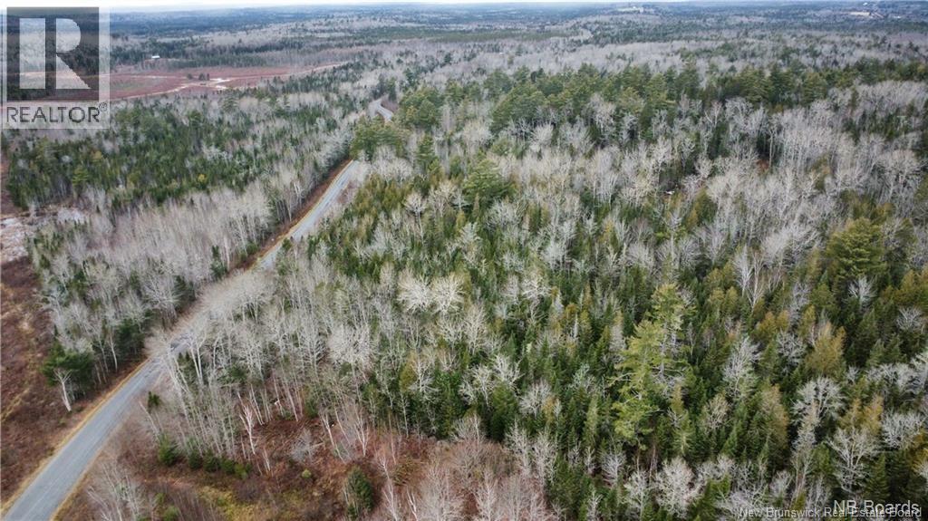 Lot Route 735, Mayfield, New Brunswick E3L 5M9 - Photo 5 - NB130158