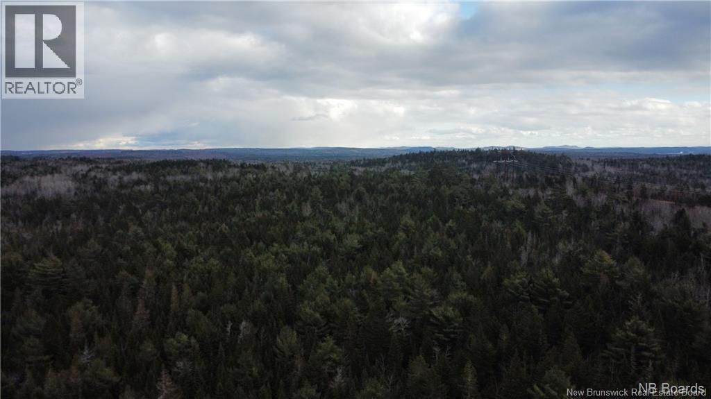 Lot Route 735, Mayfield, New Brunswick E3L 5M9 - Photo 6 - NB130158