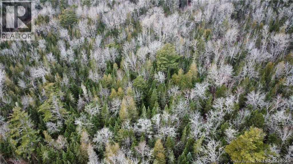 Lot Scotch Ridge Road, Hayman Hill, New Brunswick E3L 5A8 - Photo 5 - NB130157