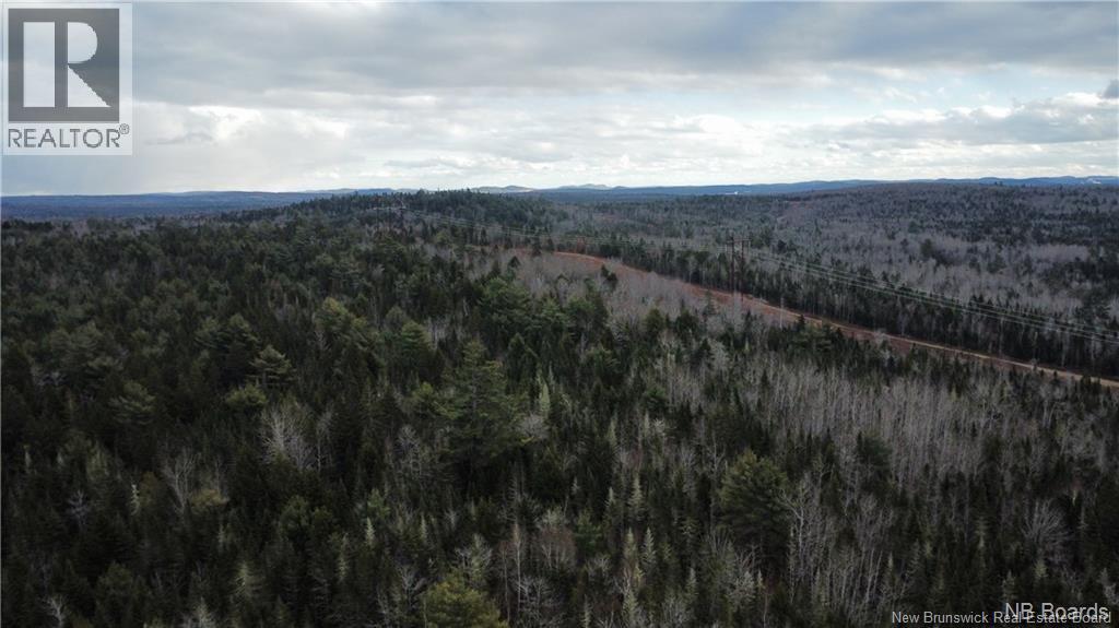 Lot Scotch Ridge Road, Hayman Hill, New Brunswick E3L 5A8 - Photo 6 - NB130157