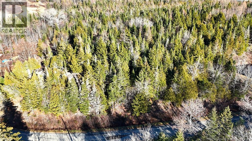 43 Spur No.1 Road, Bocabec, New Brunswick E5B 3K1 - Photo 21 - NB129658