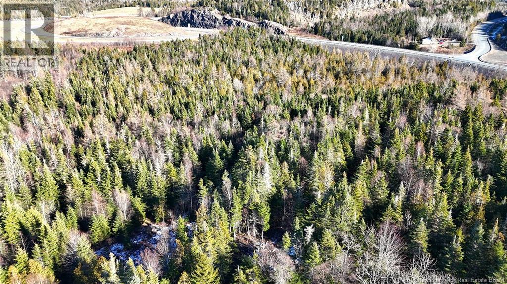 43 Spur No.1 Road, Bocabec, New Brunswick E5B 3K1 - Photo 24 - NB129658