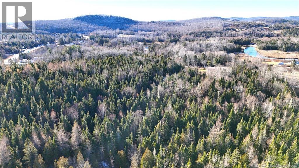 43 Spur No.1 Road, Bocabec, New Brunswick E5B 3K1 - Photo 27 - NB129658