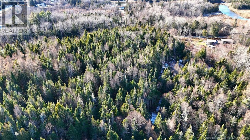 43 Spur No.1 Road, Bocabec, New Brunswick E5B 3K1 - Photo 28 - NB129658
