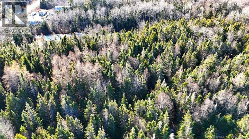 43 Spur No.1 Road, Bocabec, New Brunswick E5B 3K1 - Photo 29 - NB129658