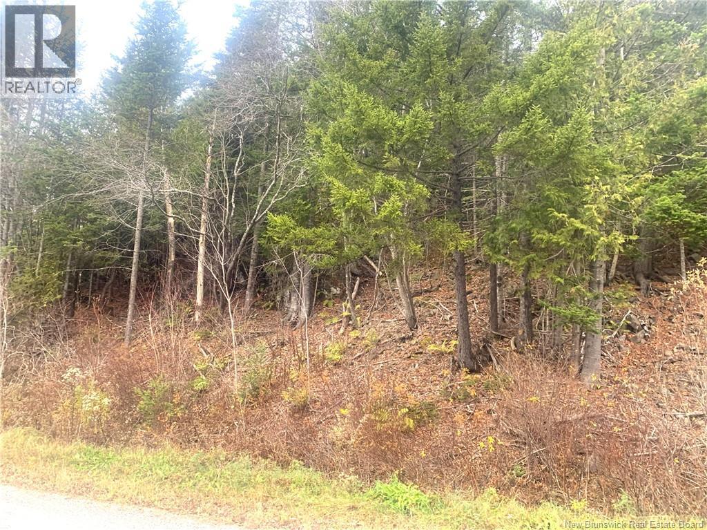 43 Spur No.1 Road, Bocabec, New Brunswick  E5B 3K1 - Photo 6 - NB129658