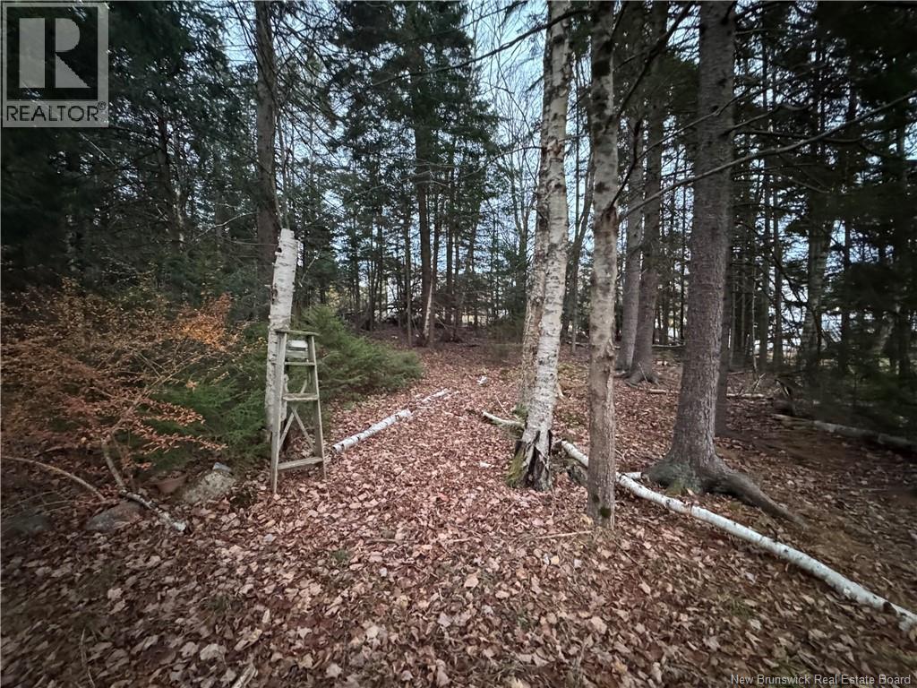 6 Wynn Street, Rothesay, New Brunswick E2E 2B4 - Photo 17 - NB130148