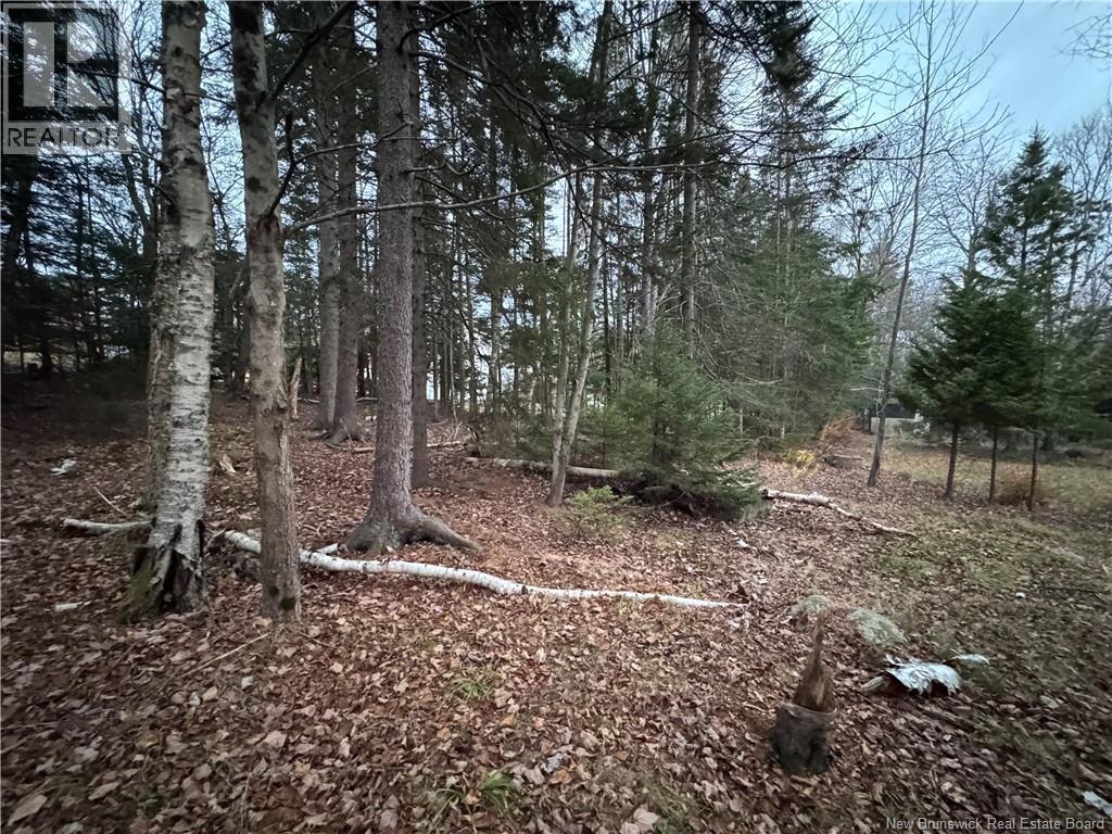 6 Wynn Street, Rothesay, New Brunswick E2E 2B4 - Photo 18 - NB130148