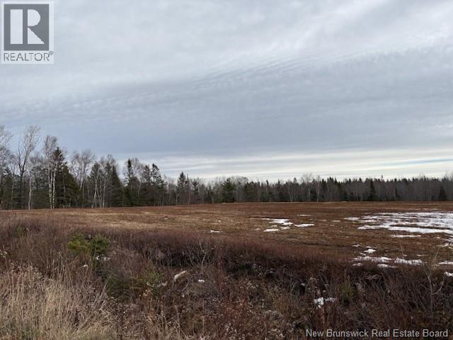 00 Route 3, Old Ridge, New Brunswick  E3L 5Z3 - Photo 4 - NB130380