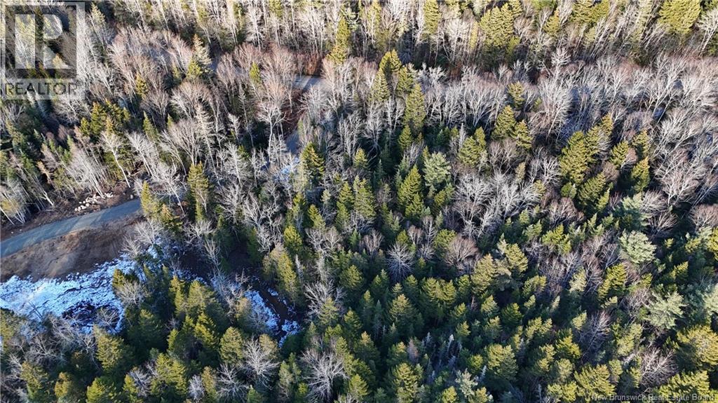 Canal Road, Canal, New Brunswick E5C 1H1 - Photo 4 - NB130366