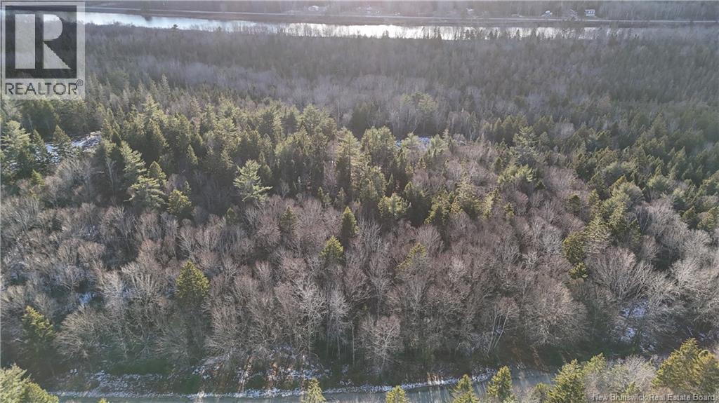 Canal Road, Canal, New Brunswick E5C 1H1 - Photo 5 - NB130366